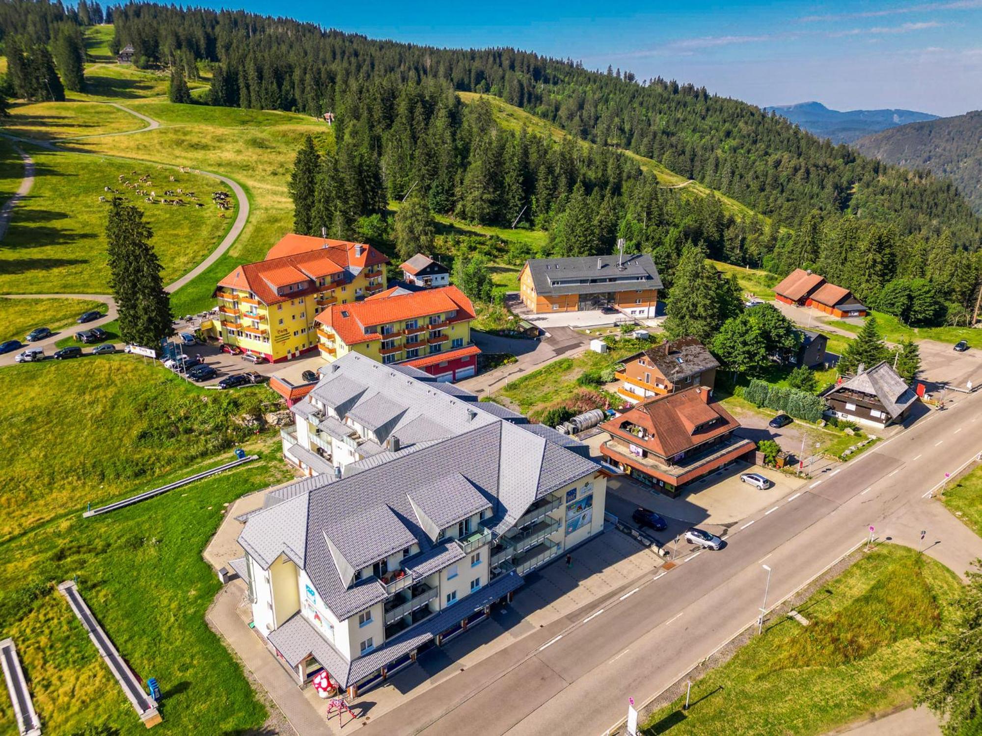 Апартаменты Feldberg Domizil - Residenz Grafenmatt Rinken Экстерьер фото